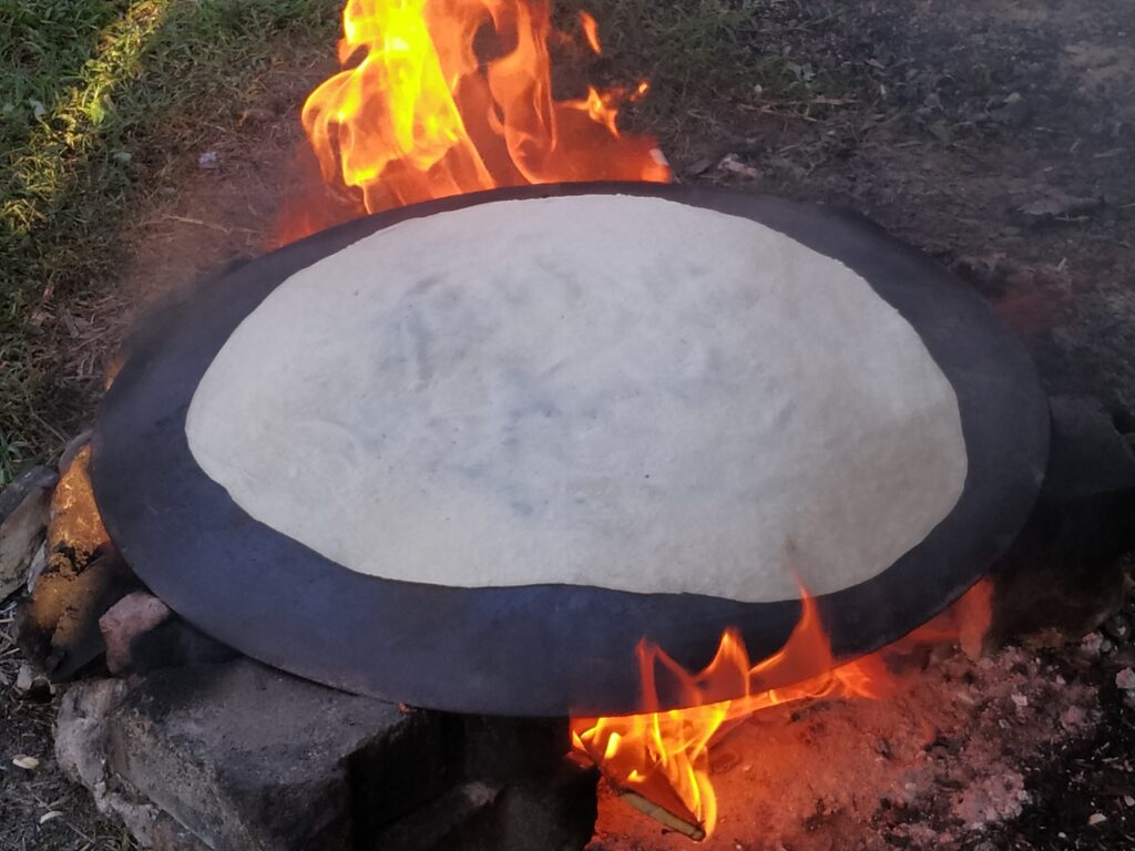 POTERE DEL CAMALEONTE, VIENI A ME!