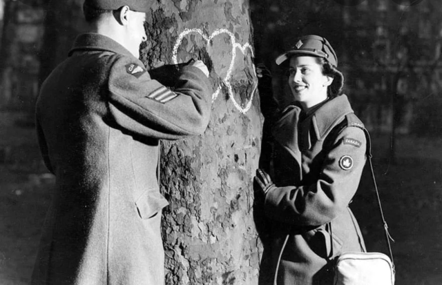 Sia l’amore che la guerra